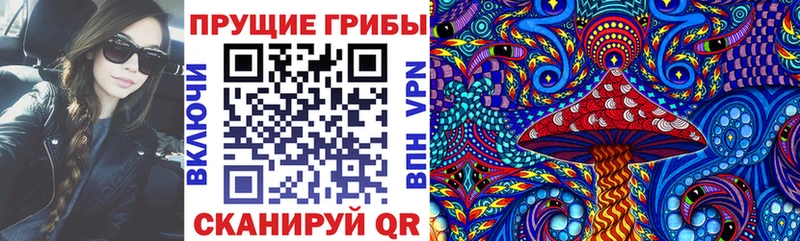 нарко площадка телеграм  Приморск  Галлюциногенные грибы Magic Shrooms 